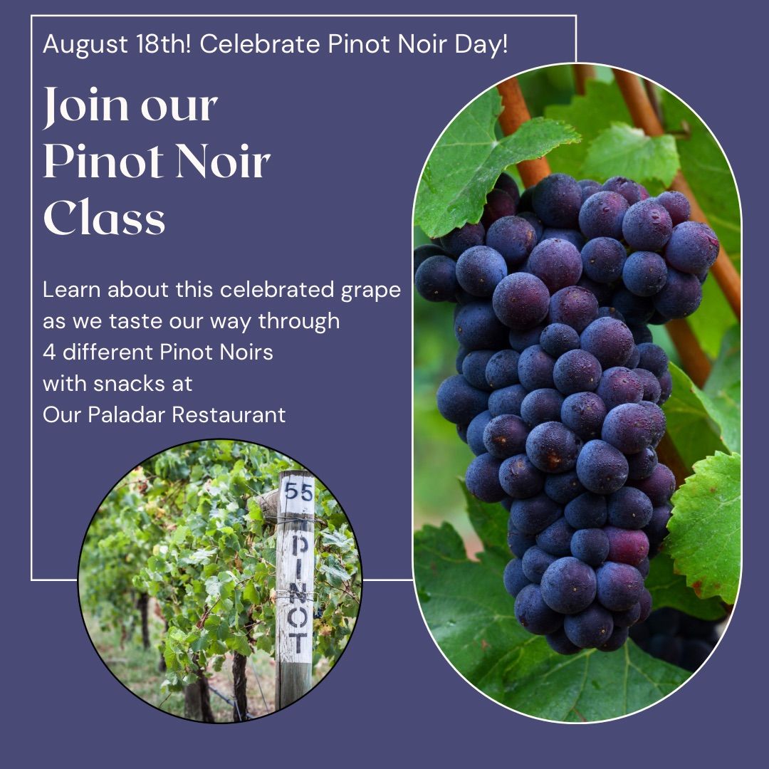 Pinot Noir Wine Tasting Class
