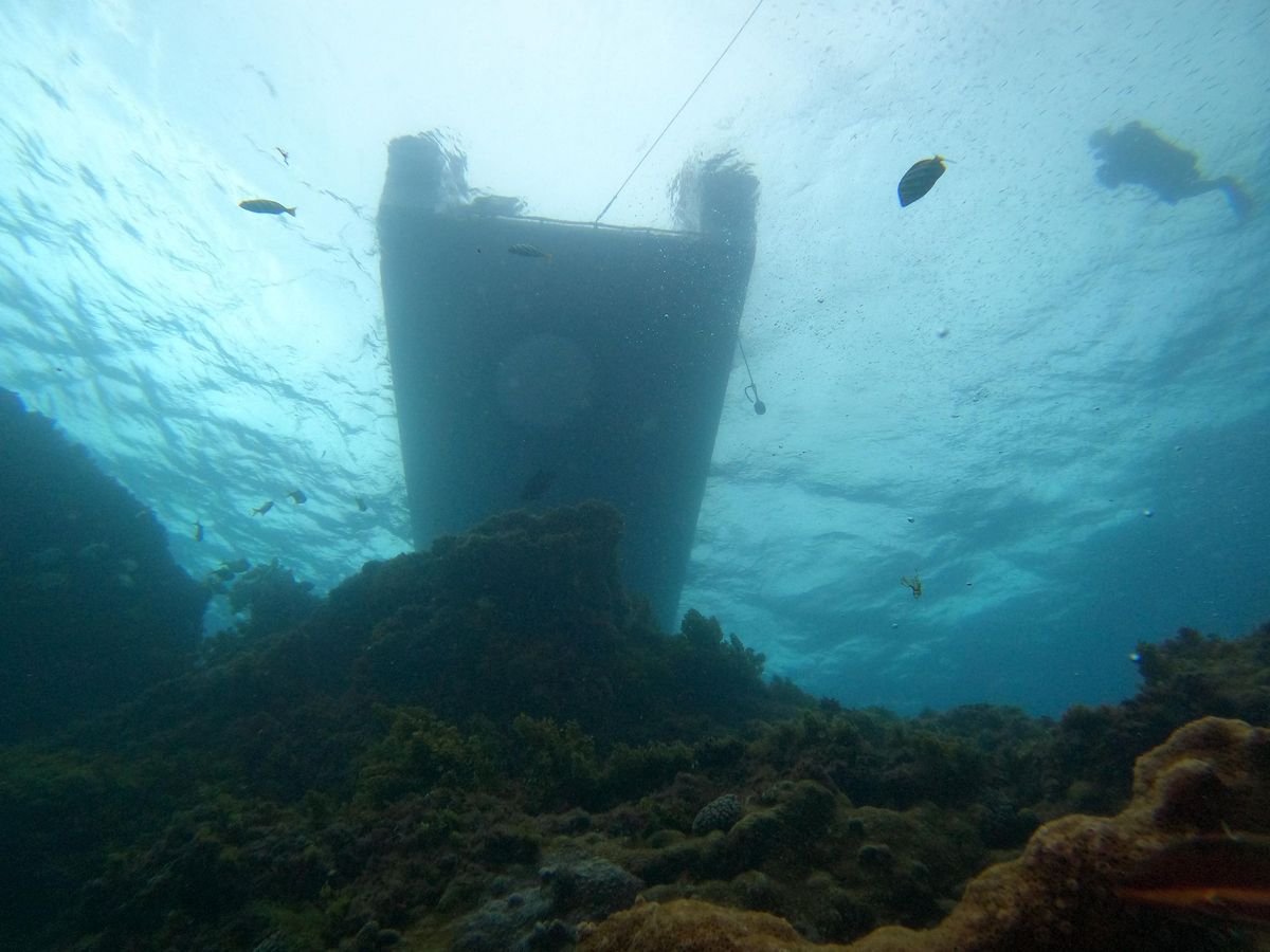 Rottnest Island Double Scuba Dive Trip