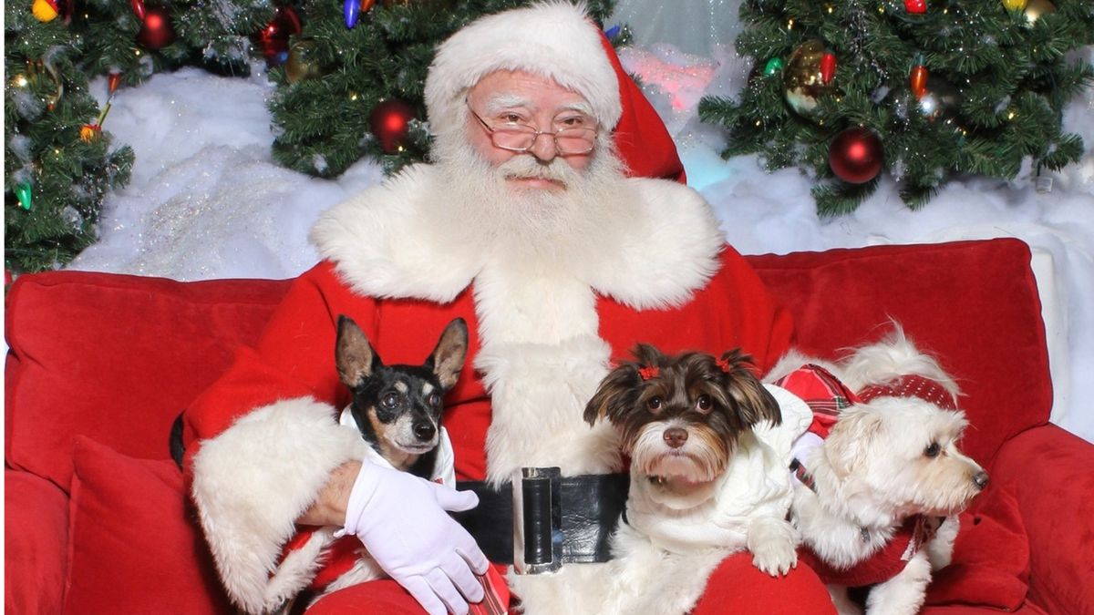 Pet Photos with Santa 2024