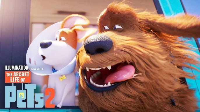 FREE Community Showing of Secret Life of Pets 2 Sponsored by Dakotaland FCU of Watertown!