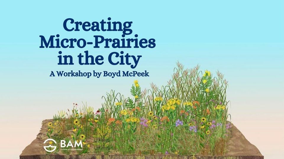 Creating Micro-Prairies In The City