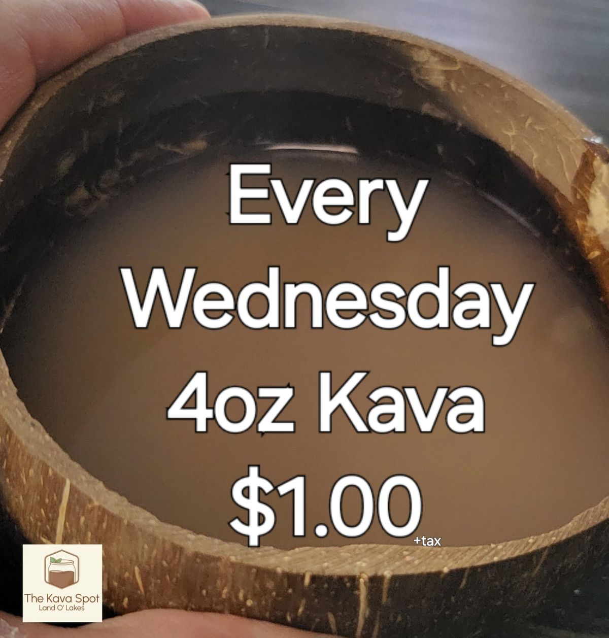 Kava Wednesday's