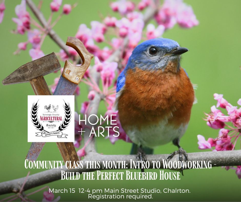 Community Class- Intro to Woodworking: Bluebird Houses