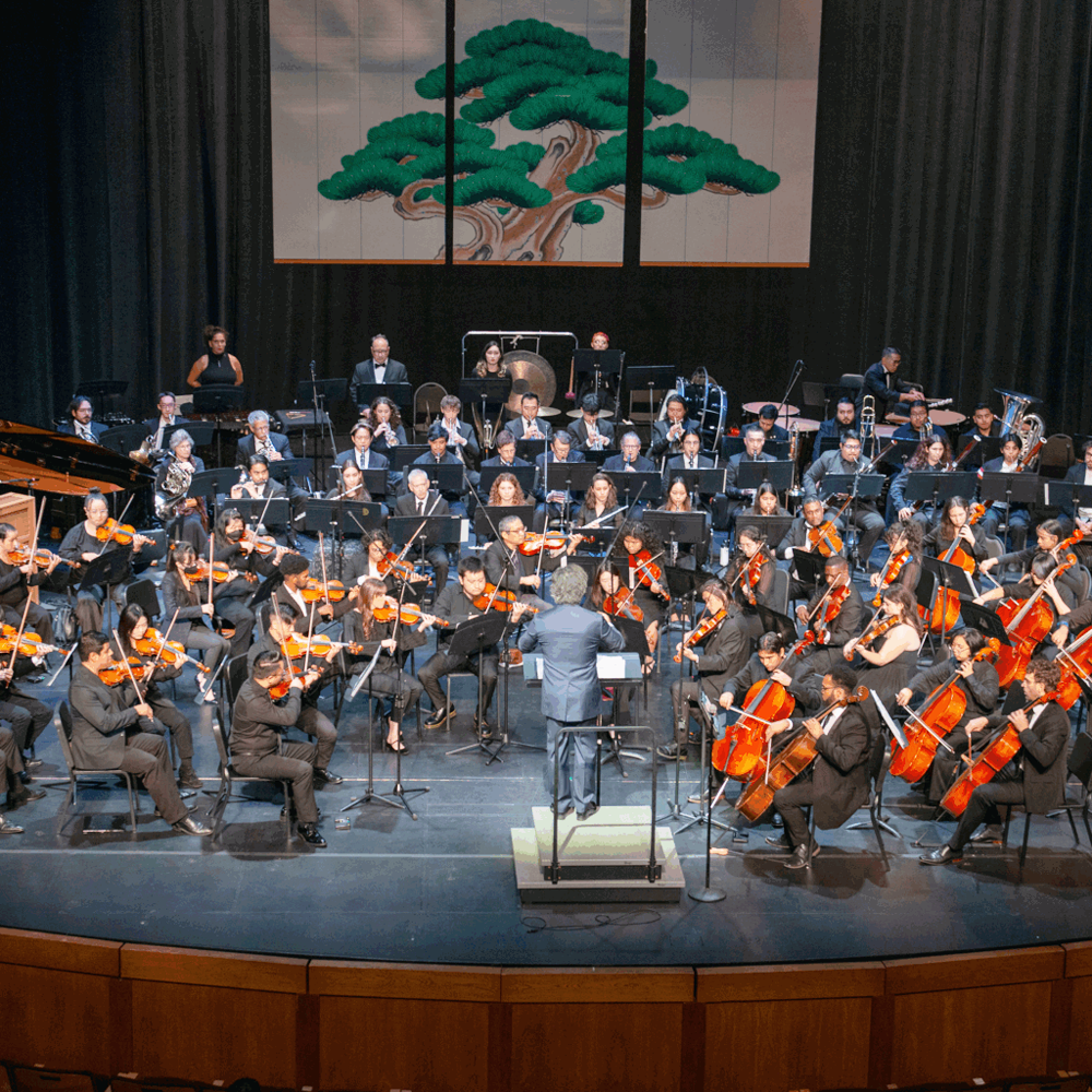Florida OrchestraFlorida Orchestra - Beethovens Symphony No. 7 at Mahaffey Theater - Duke Energy Center for the Arts FL