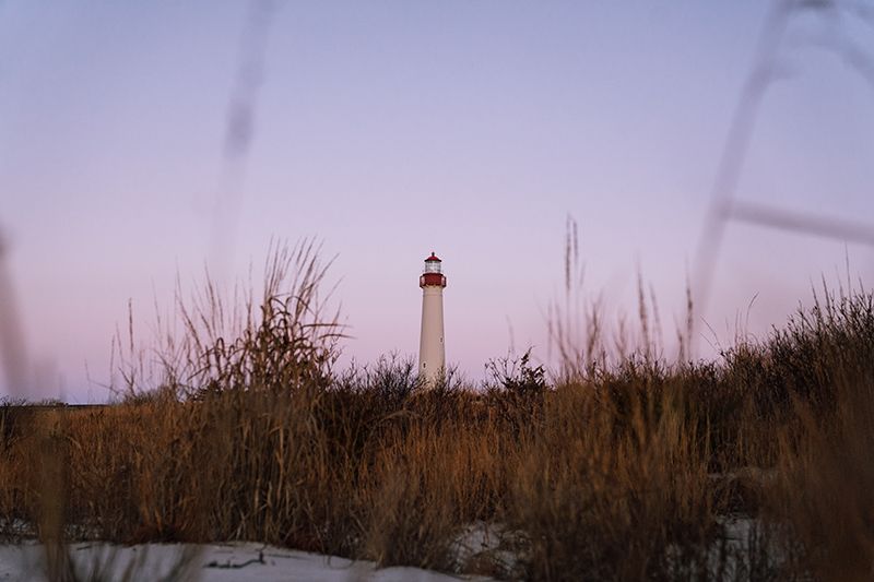 Ornithology & Garden Design Across Scales: A Professional Program at the Cape May Point Science Cntr