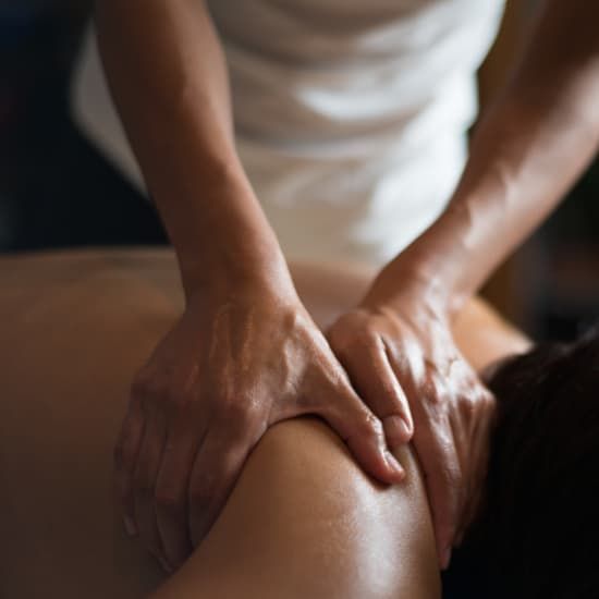 Professional Remedial Massage Workshop