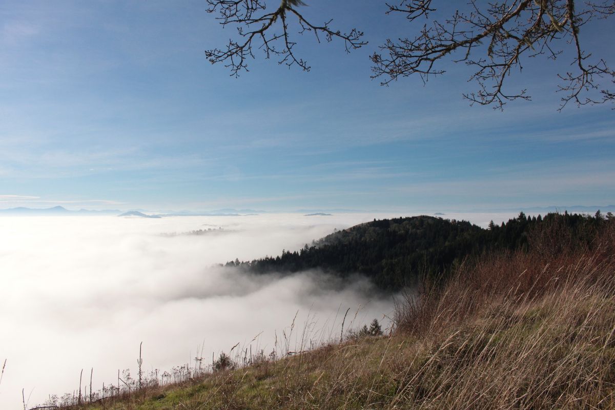 Hike: North Bank Habitat