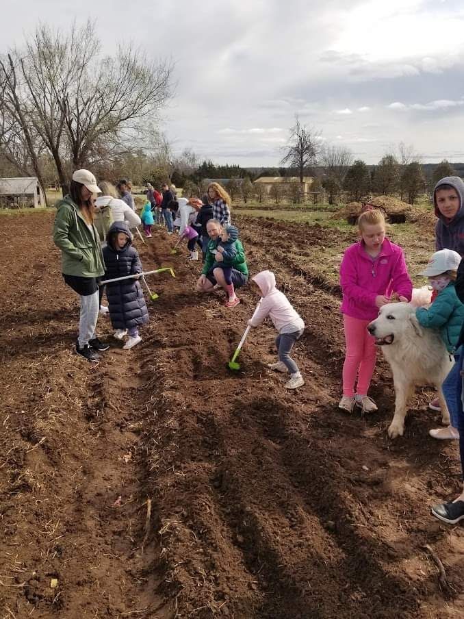 Kids Potato Planting event and Food Forest Education