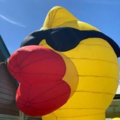 Duck Derby for Rotary