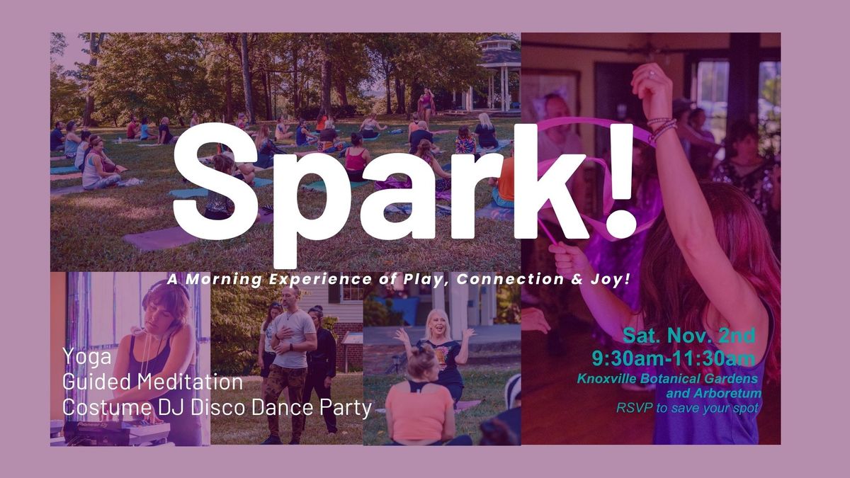 Spark! -A Morning Experience where Mindfulness Meets DJ Disco Dance Party!