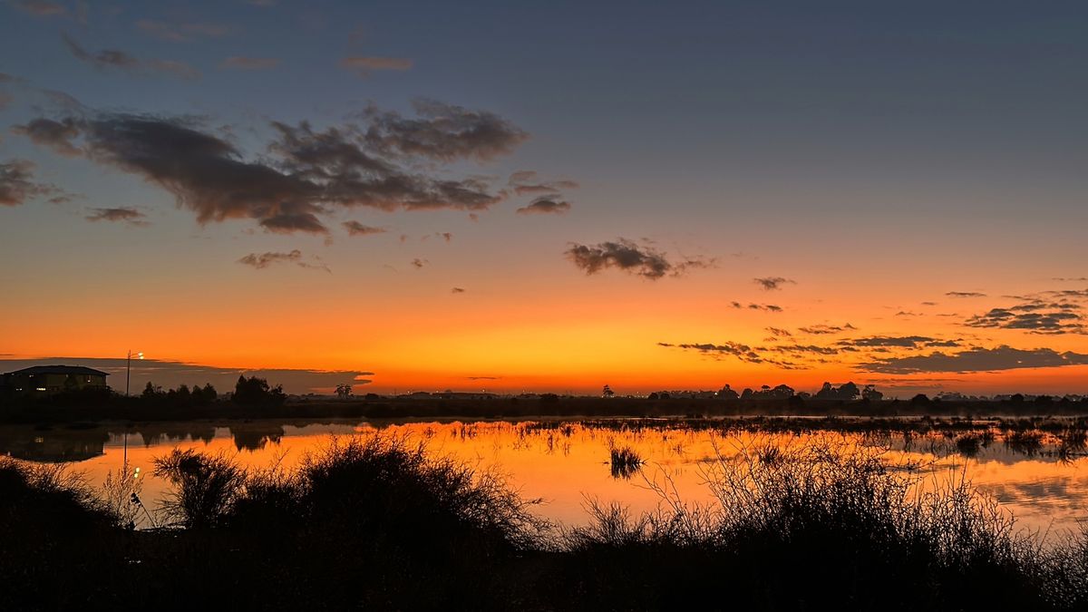 Melton Council Seniors Festival: Deanside Wetland Discovery Walk