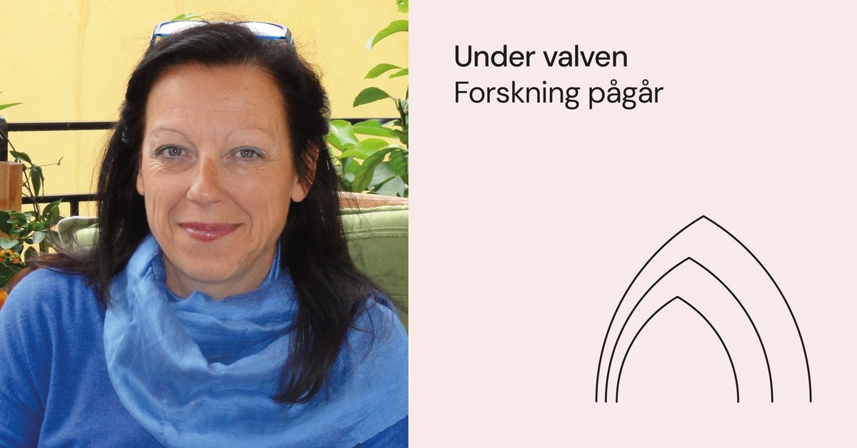 Under valven - forskning p\u00e5g\u00e5r 