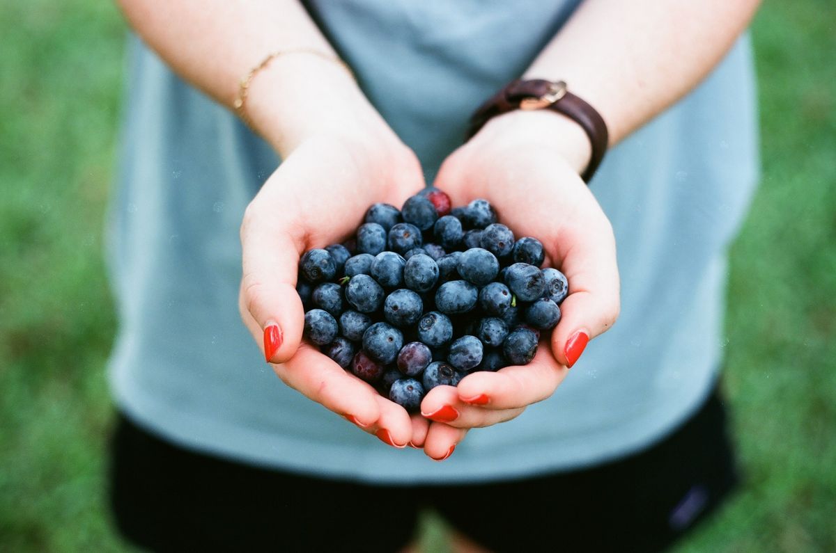 Blueberry Farm Berry Picking 2018 - (Different Days)