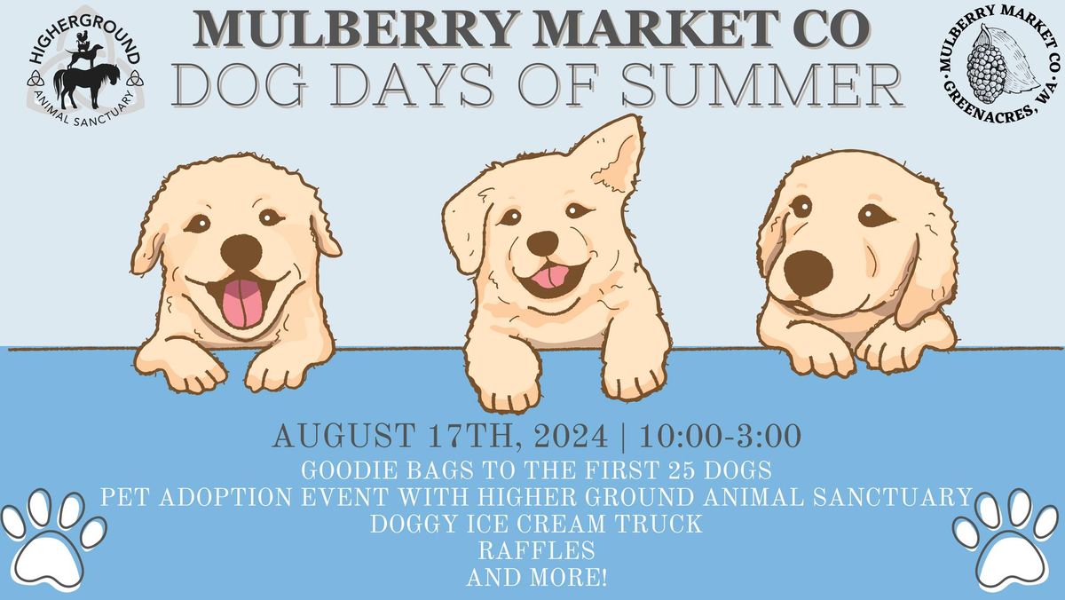 Mulberry Market Co.  Dog Days of August!