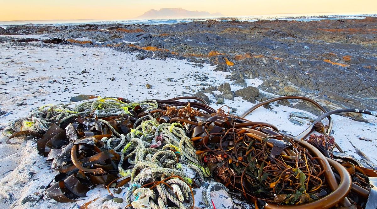 MELKBOSSTRAND COMMUNITY BEACH CLEANUP 