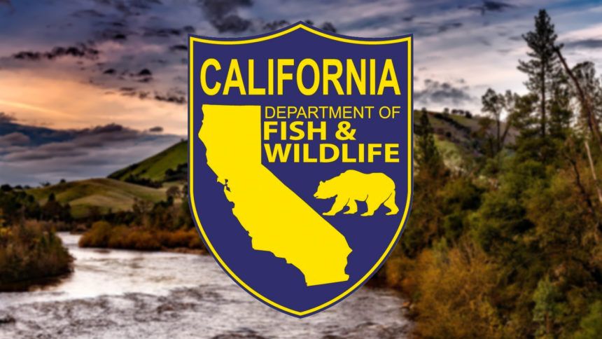 2022 Fall Hunting Classic: Meet Volunteers From The CA Department Of ...