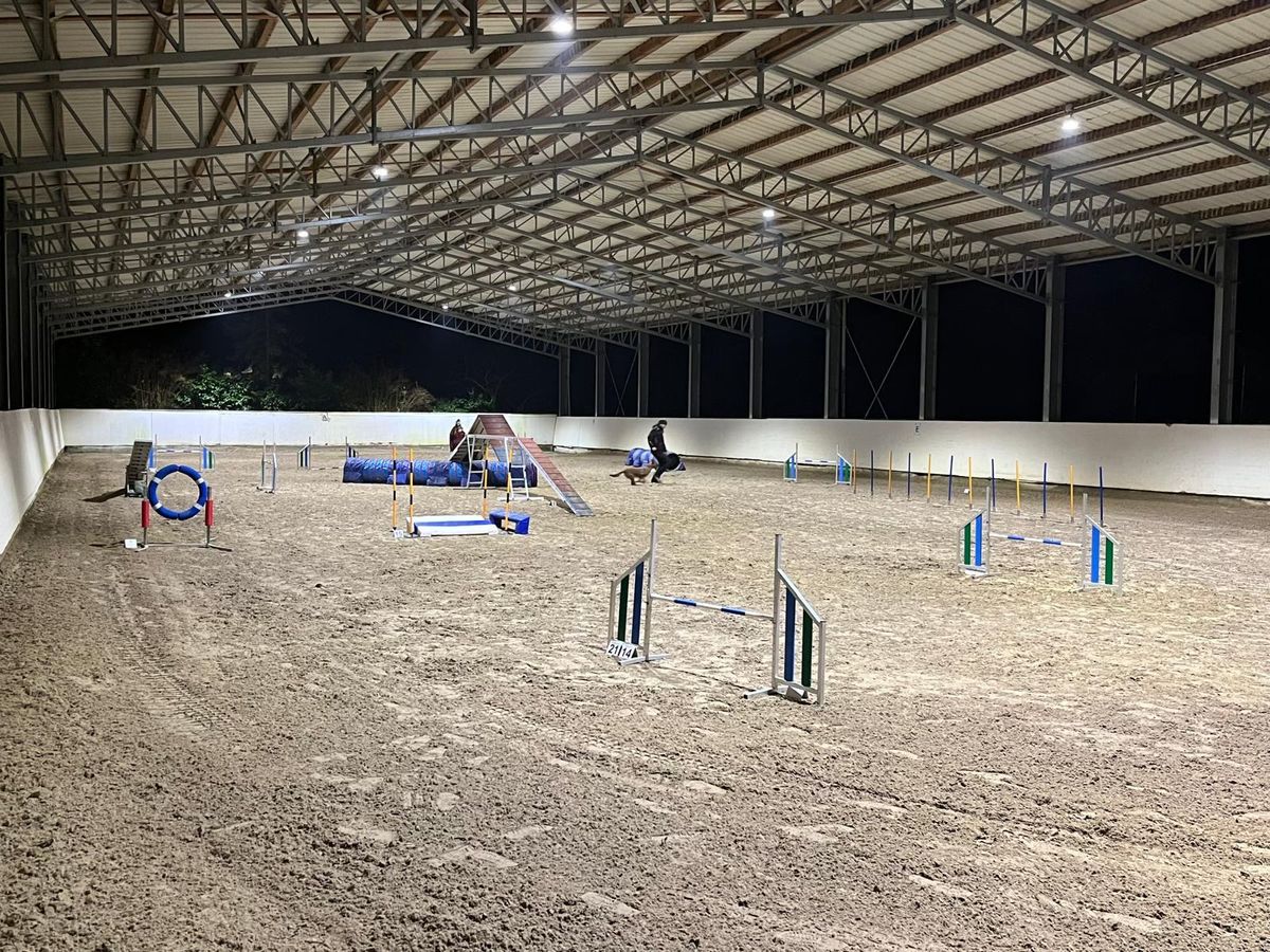 Agility Reithallenturnier