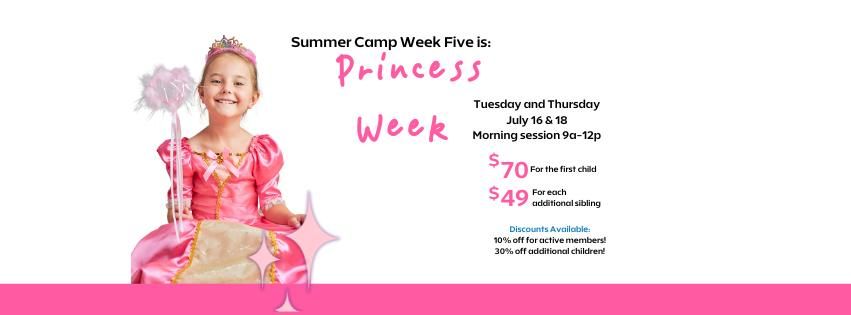 2 Day Princess Mini Camp