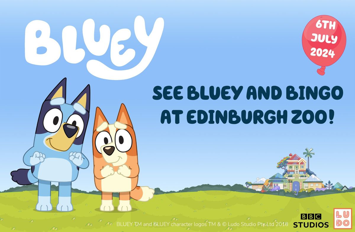 Bluey and Bingo's Day out at the zoo!