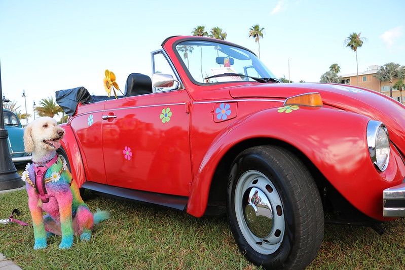 Vintage VW Fest @ Goodwill's Hippie Dash