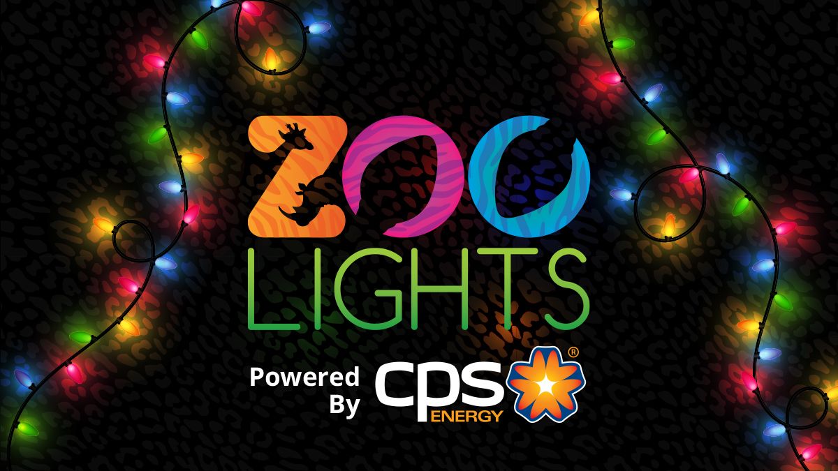 Zoo Lights, Powered by CPS Energy Member Appreciation Night