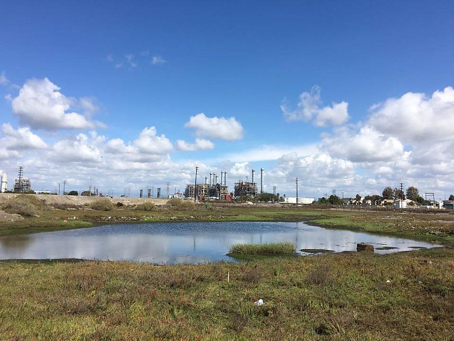 Monthly Los Cerritos Wetlands Habitat Restoration