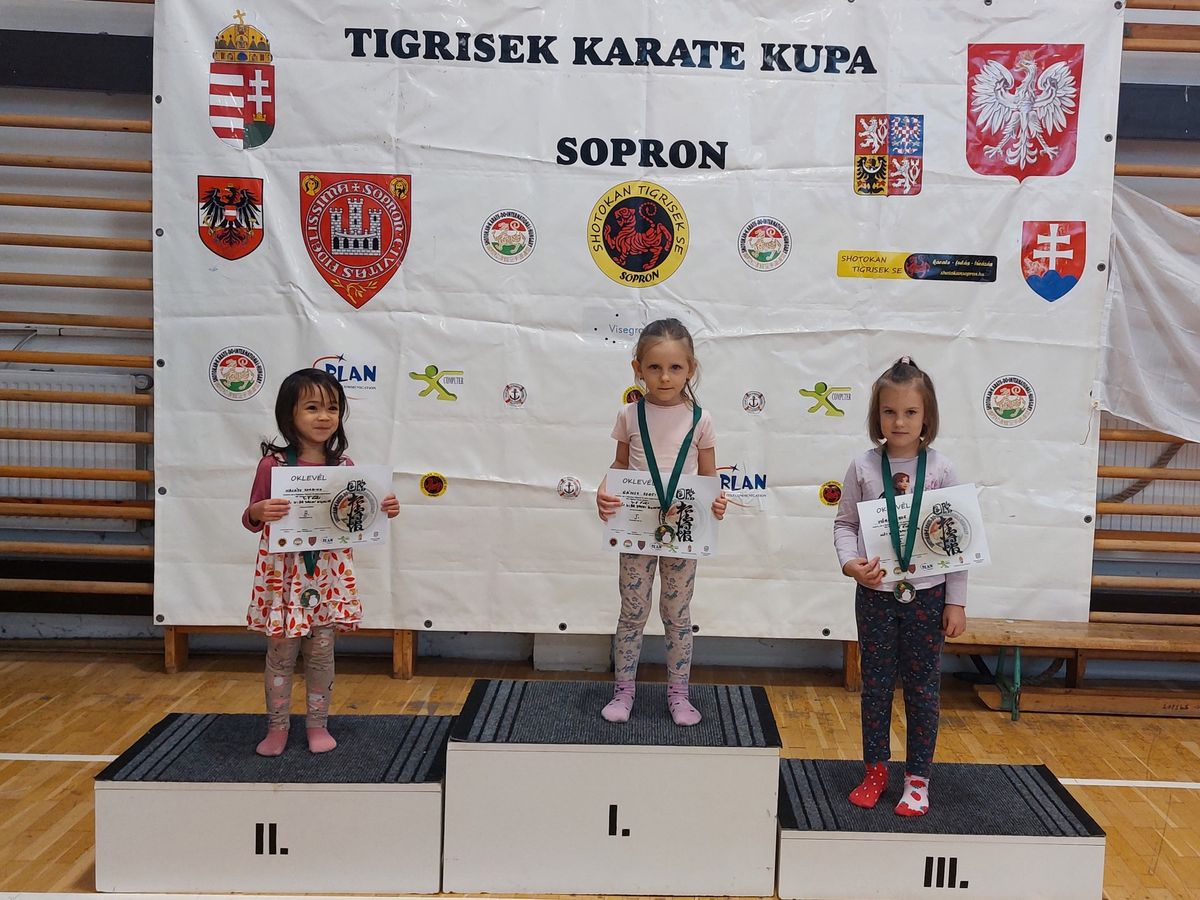 IX. Tigrisek Karate Kupa