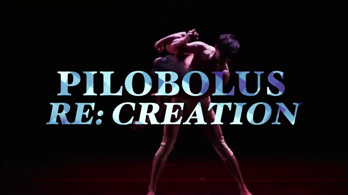 Pilobolus: re:Creation