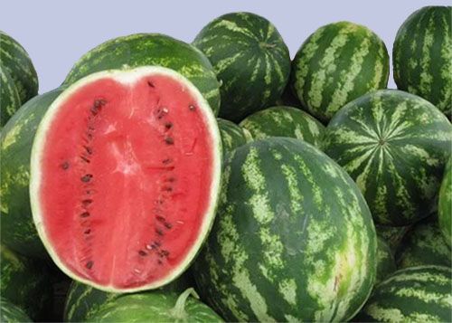 Andover Farmers Market Week 8: National Watermelon Day