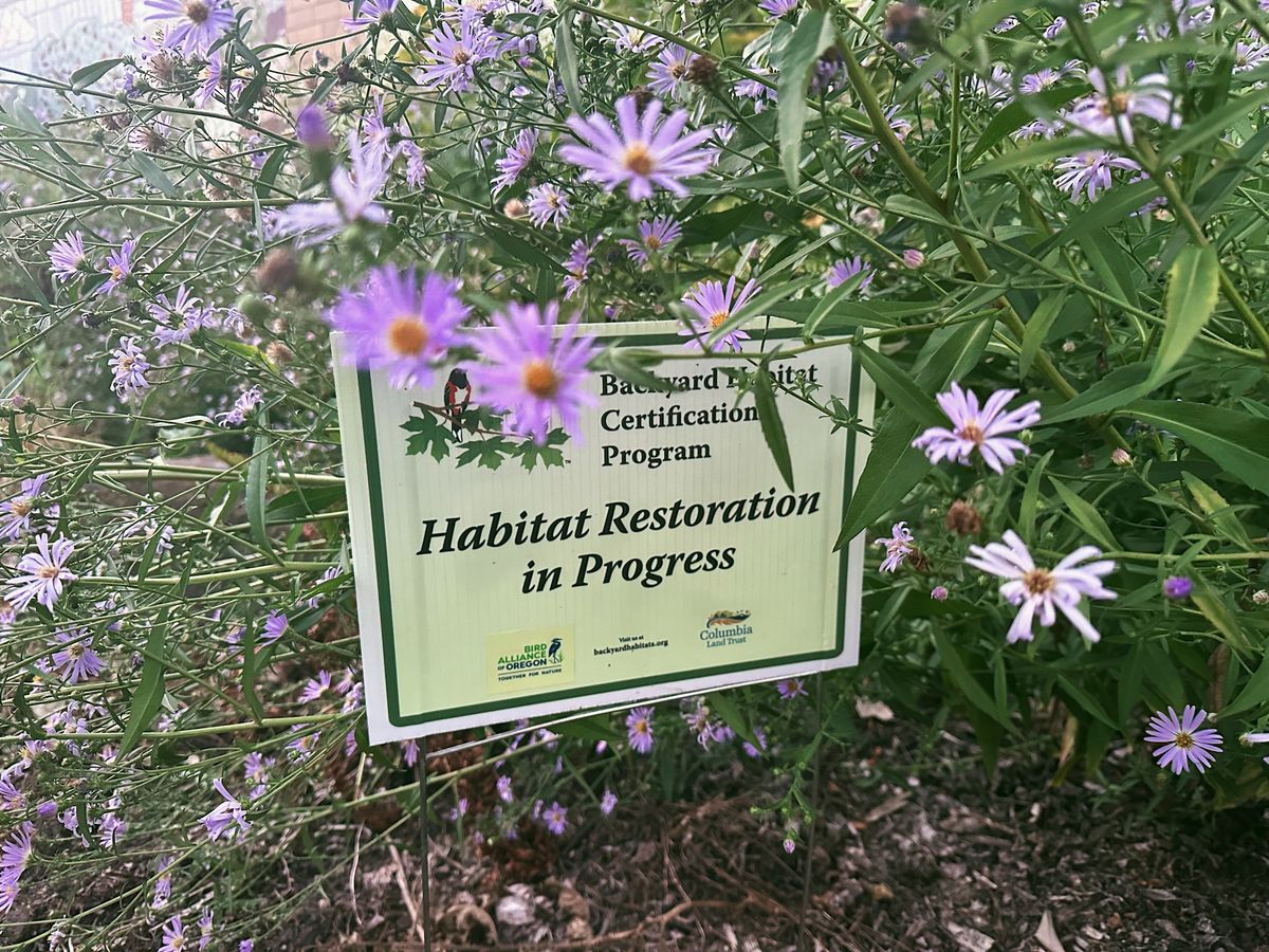 East Portland Backyard Habitat Meetup