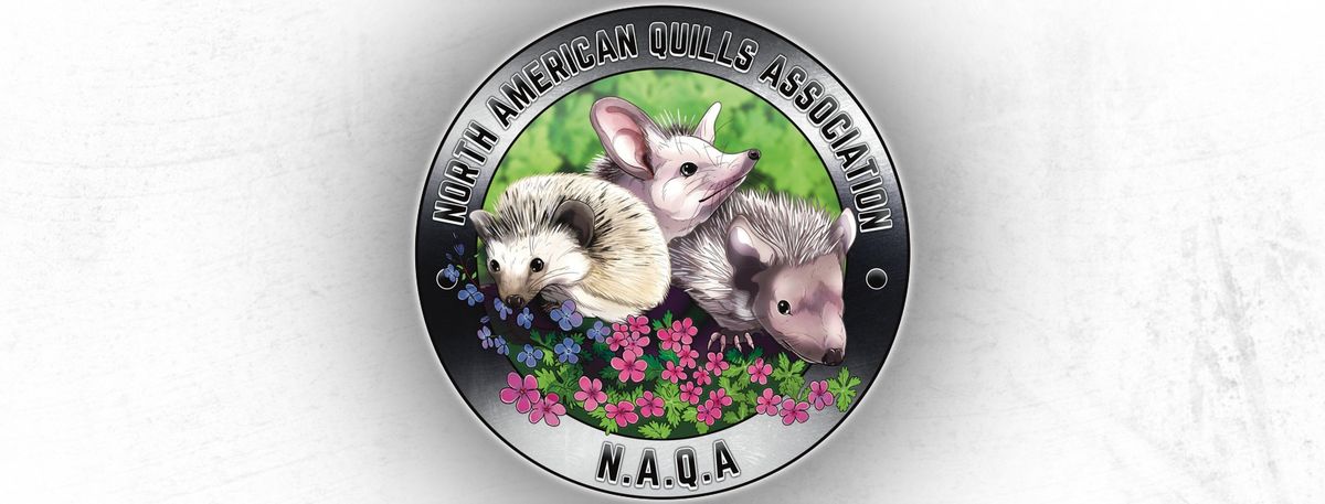3rd Annual Tulsa Hedgehog Roundup