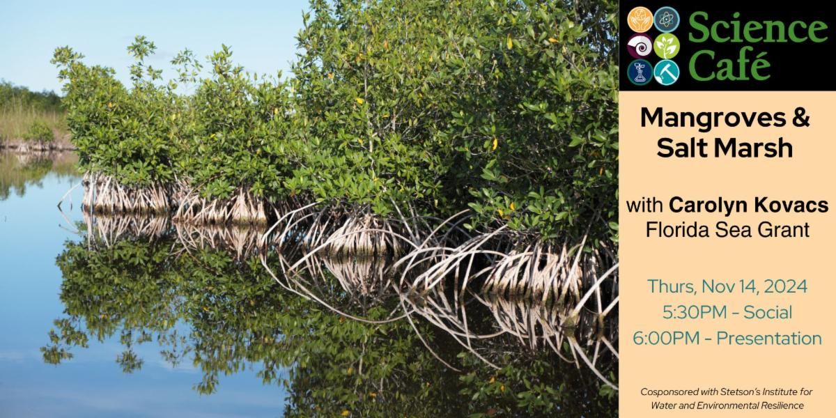 Mangroves and Salt Marshes w\/ Carolyn Kovacs