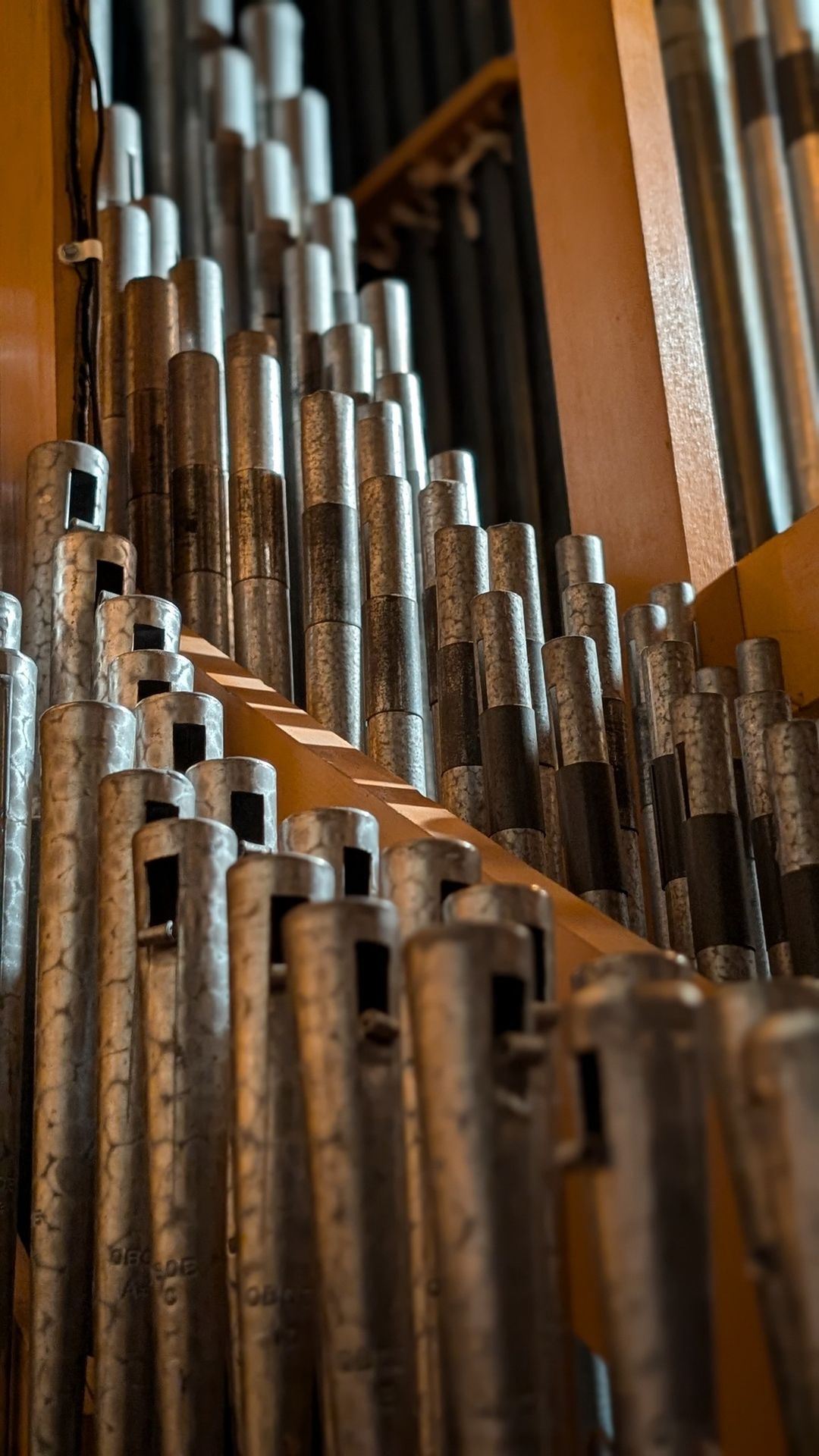 Organ Concert