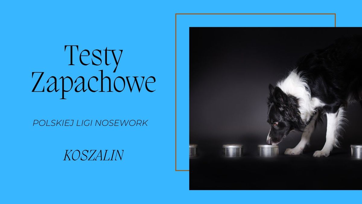 Testy Zapachowe Polskiej Ligi Nosework w Koszalinie