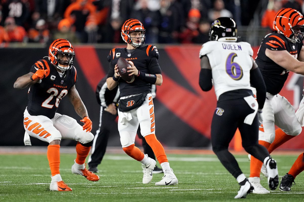 Baltimore Ravens at Cincinnati Bengals at Paycor Stadium