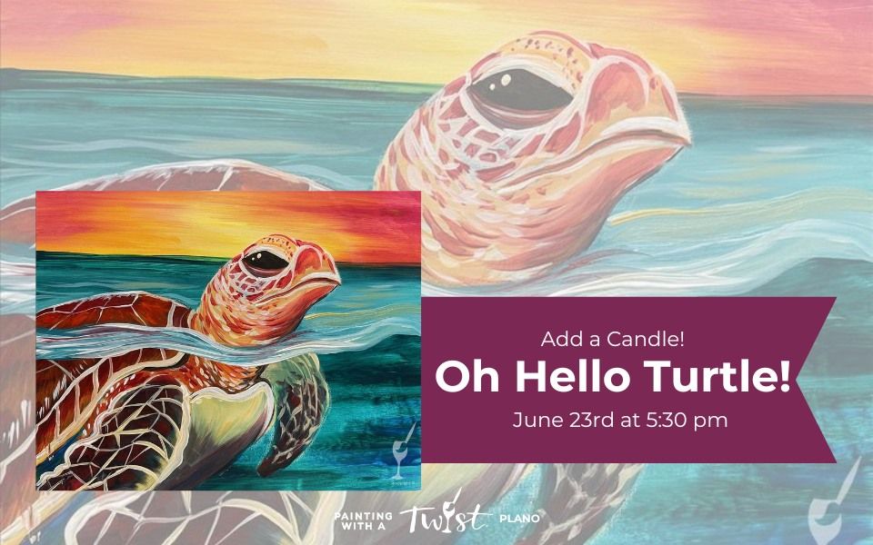 Summer Fun In the Sun: Oh Hello Turtle!