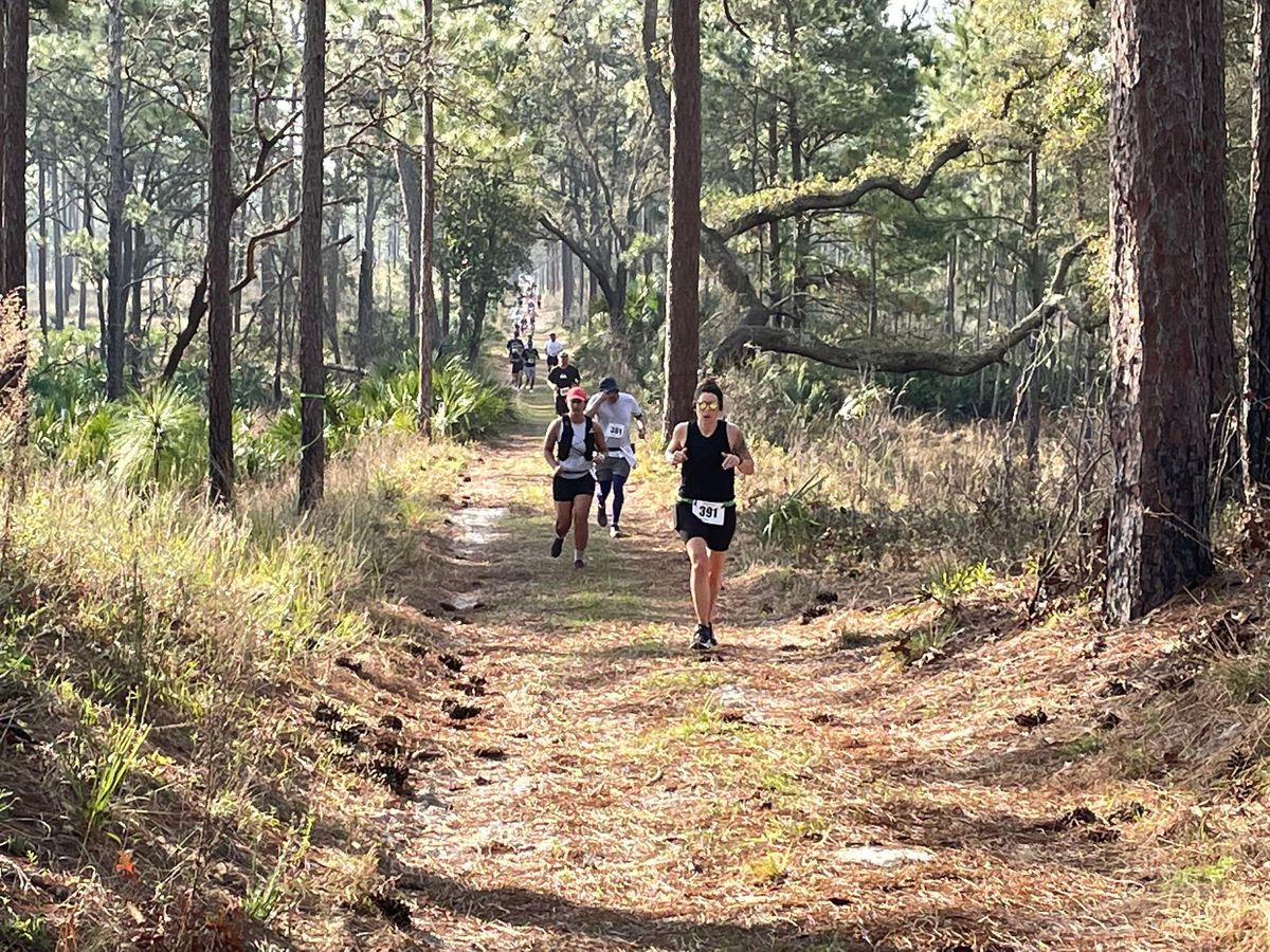 Real Florida 5K 10K Cross Country Run and Fun Walk