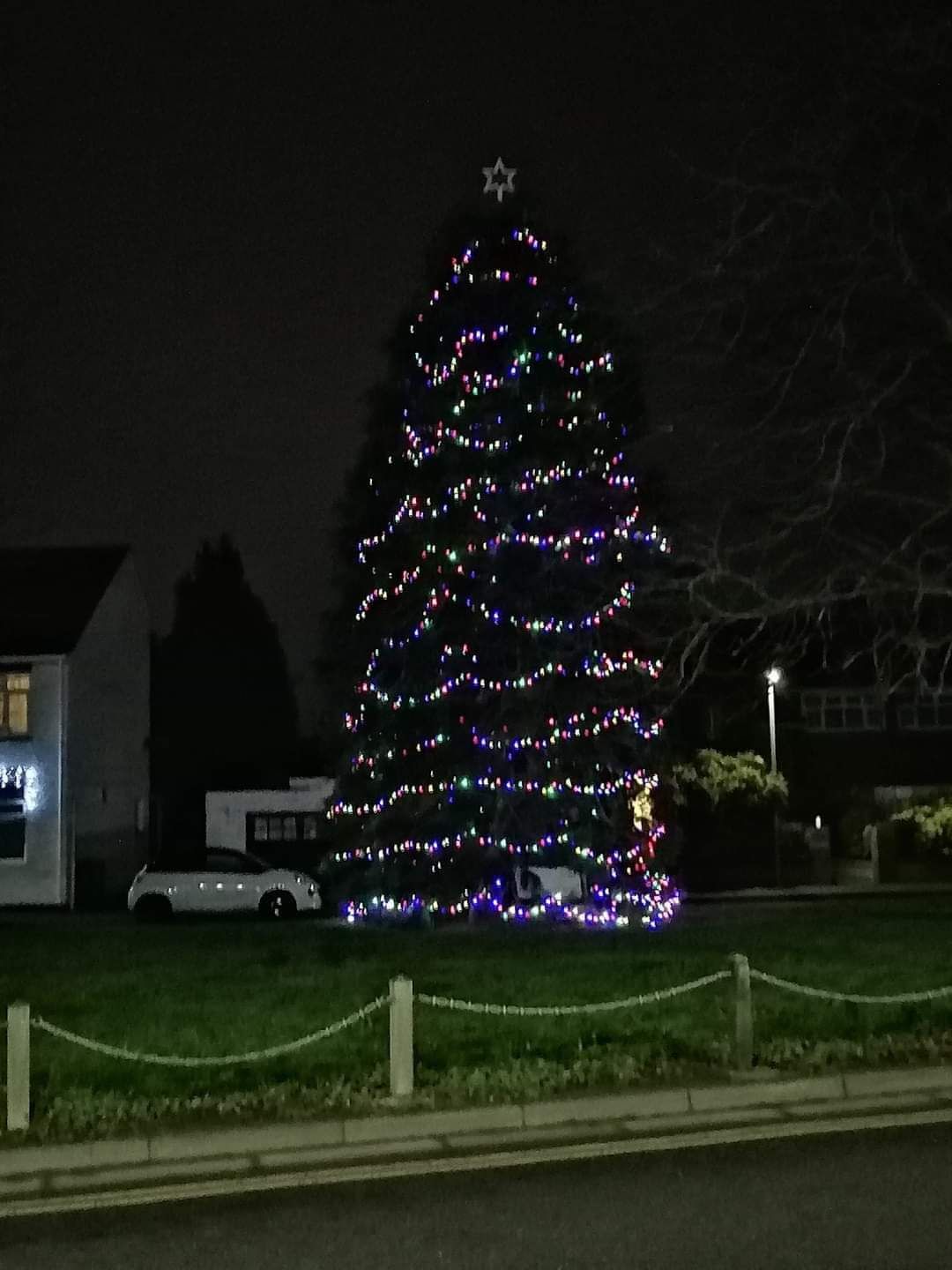 Werrington Village Green Christmas Tree Light Switch On 