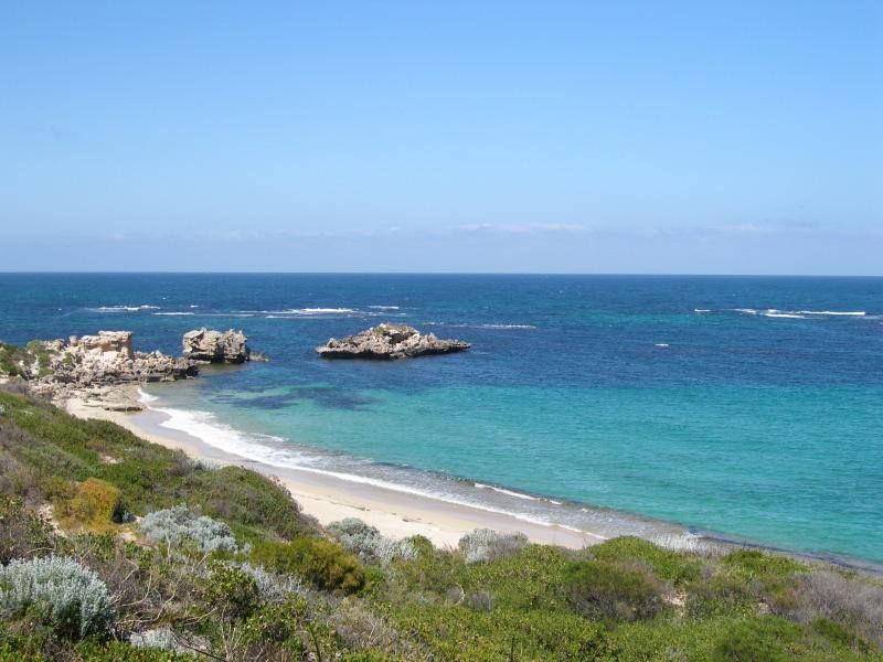 Snorkeling @ Point Peron - Beginner Level