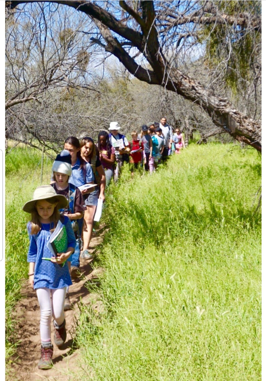 Free Family Friendly Hike Thunderbird Conservation Park