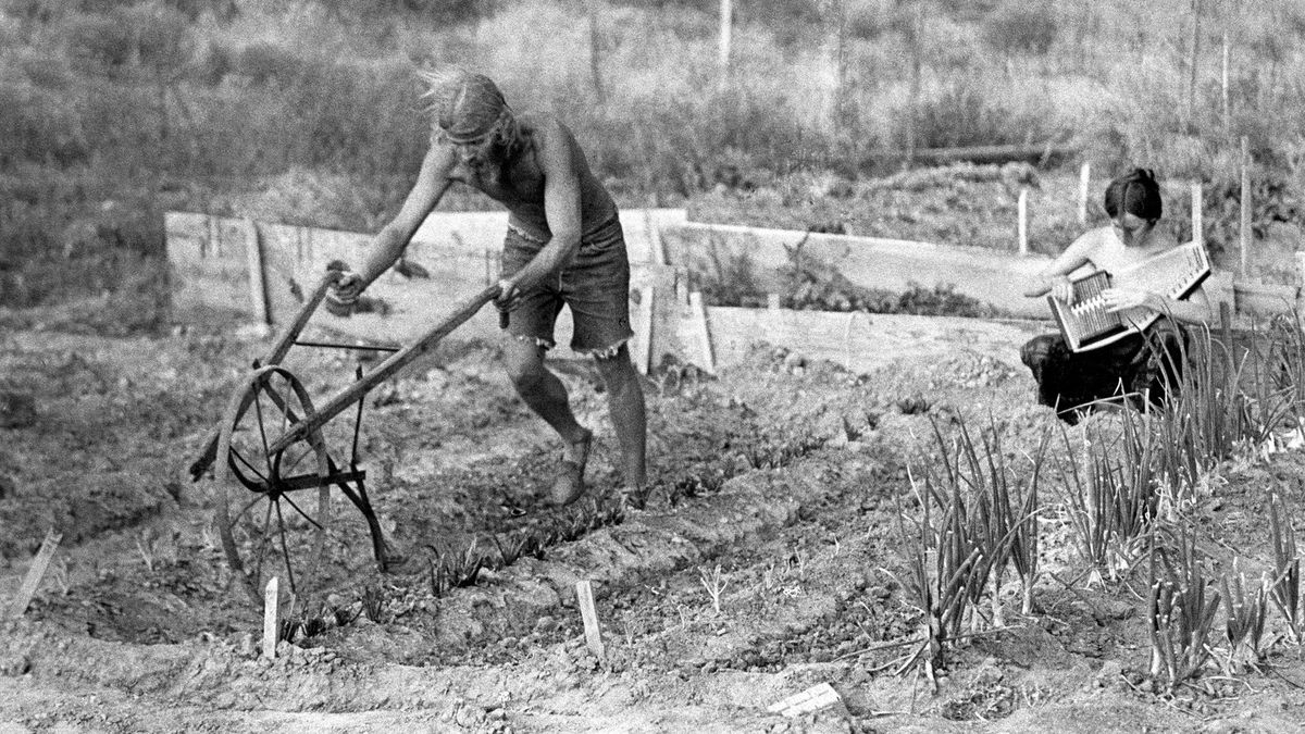 Field Hands II