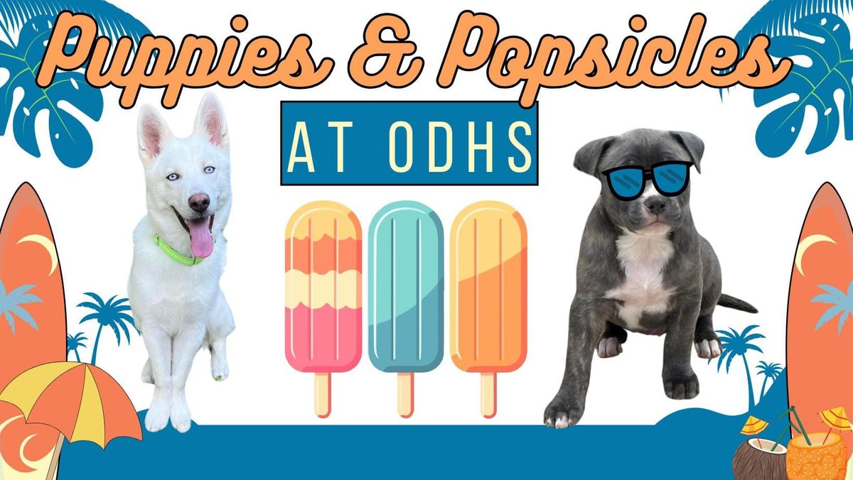 Fun Fridays - Puppies and Popsicles 