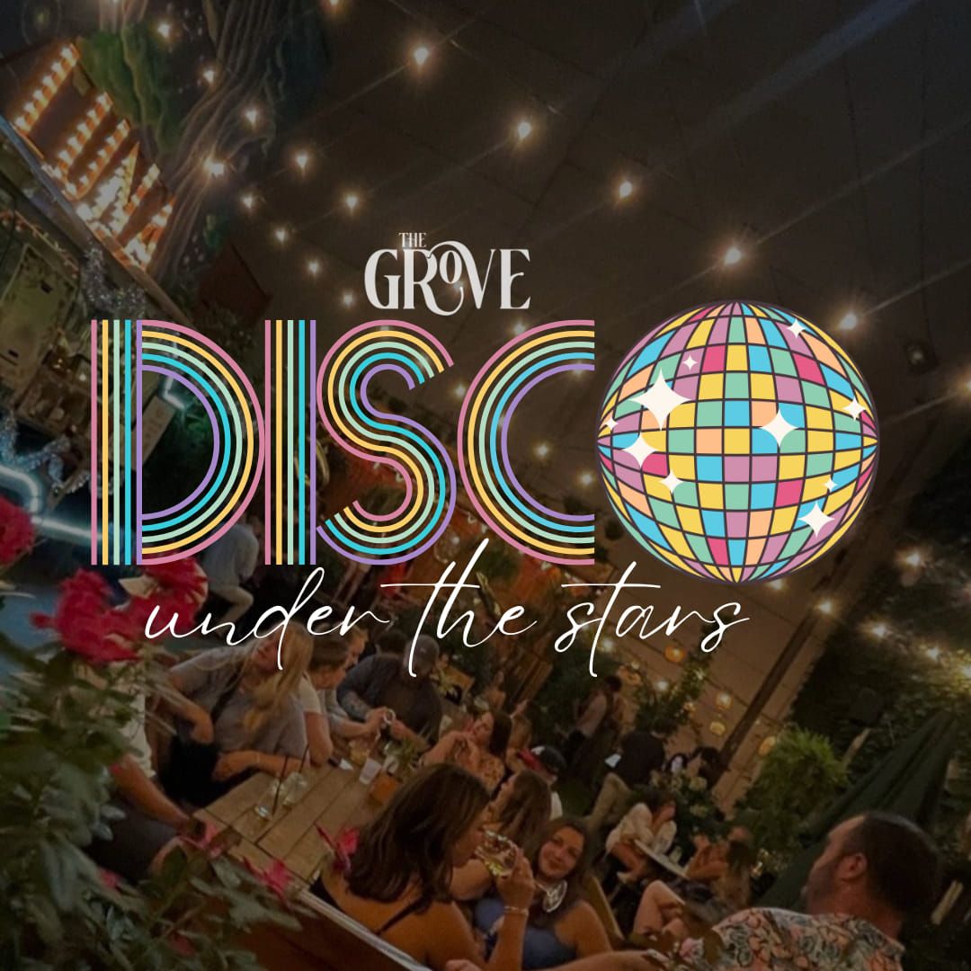 Disco Under the Stars 