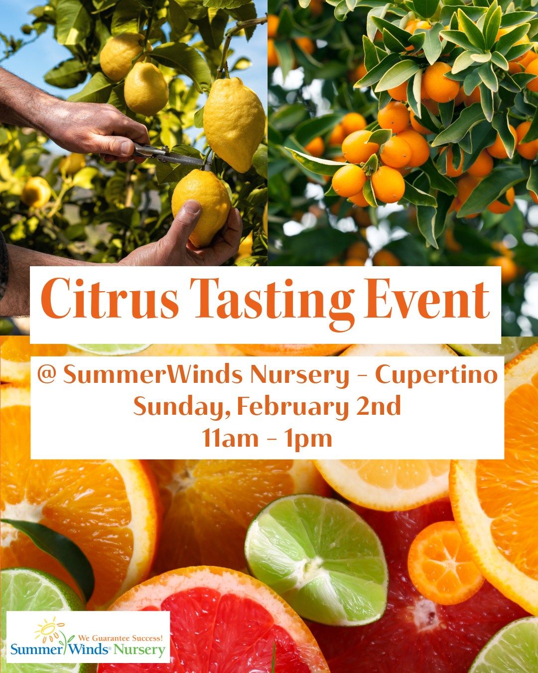 Citrus Tasting Event