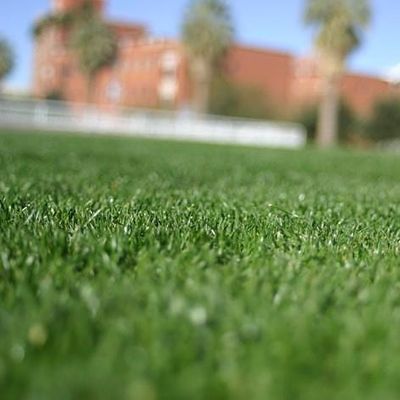 UA Cooperative Extension Turfgrass Science