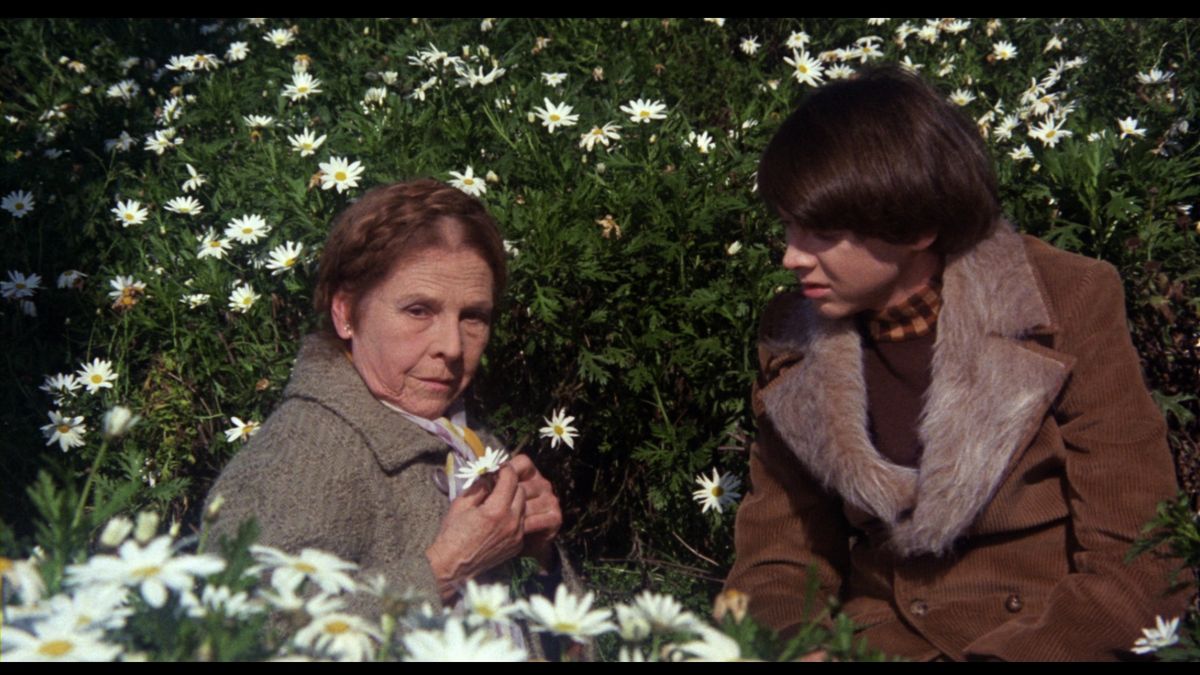 Harold and Maude