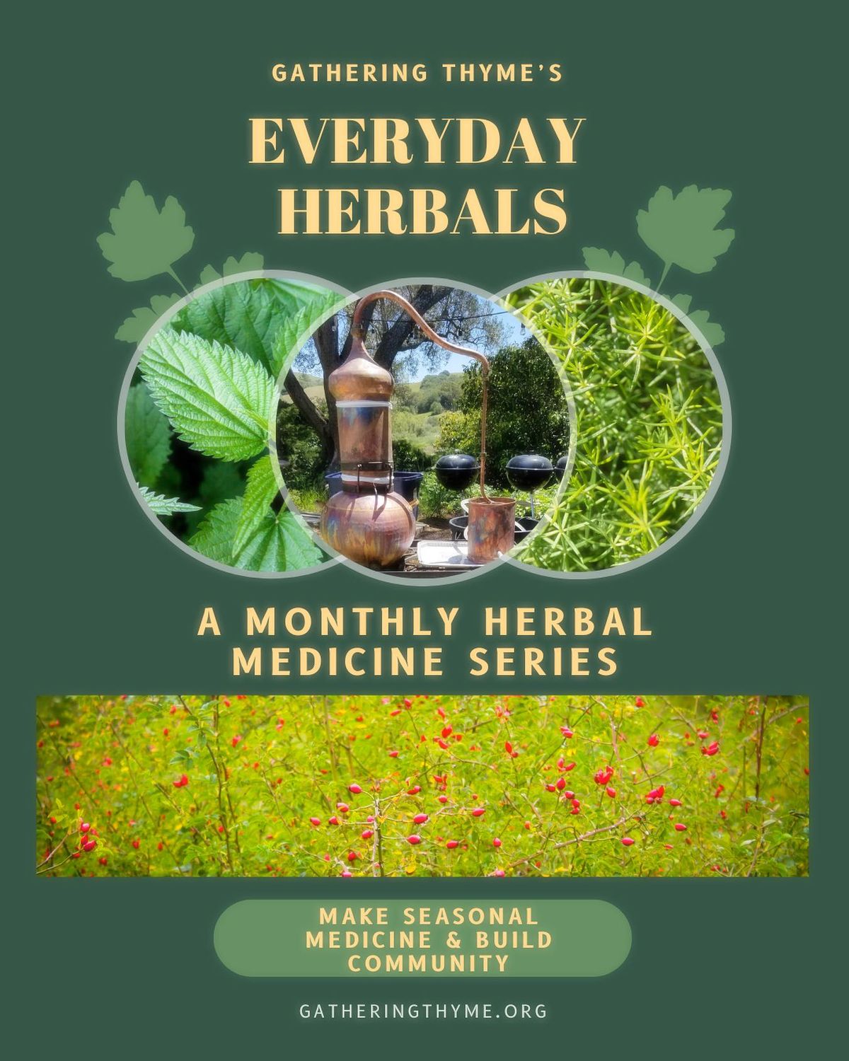 Monthly Herbal Medicine Series