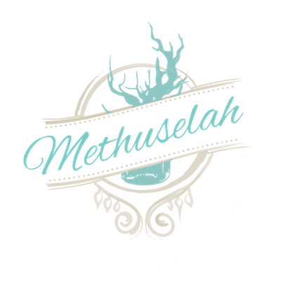 Methuselah Bar and Lounge