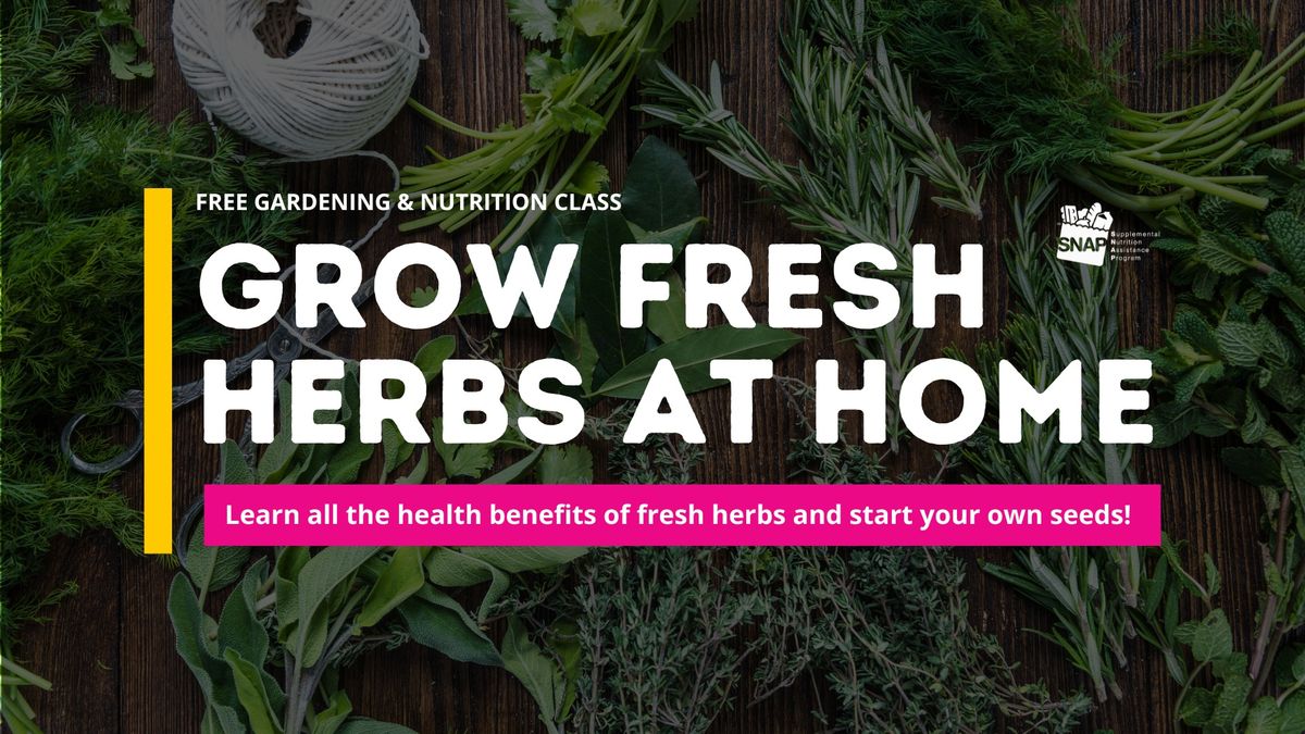 Free Gardening Class: Grow Fresh Herbs at Home!