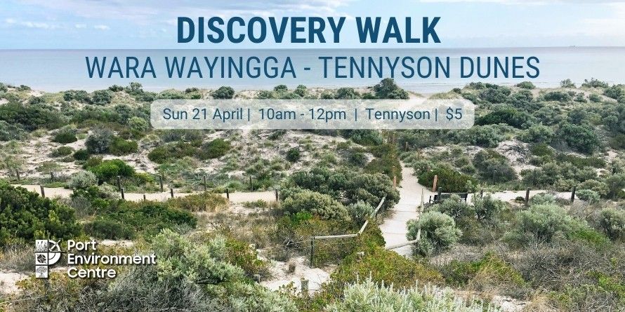 Discovery Walk to Tennyson Dunes